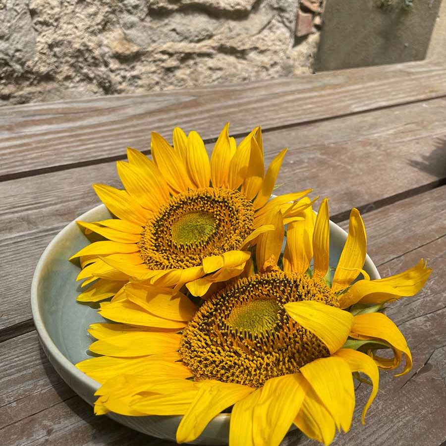 fleurs - tournesol - table - bois - Avignon